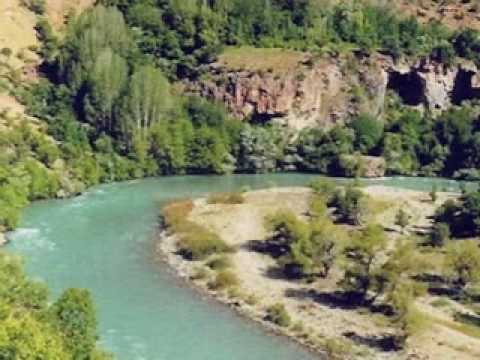 doluca