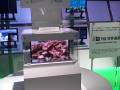 CEATEC Japan 2008 -- Sony Bravia New OLED @ .3mm
