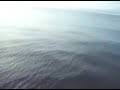 janet-kuypers-poem-burn-it-in-pacific-ocean-galapapagos.html