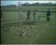Monty Python Twit Olympics