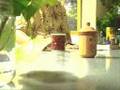videos de Philosophy flows freely Ego vs. Soul ~