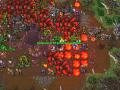 Feragon Online Demon Oak Quest