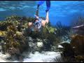Snorkeling Southwest Reef, New Providence, Bahamas