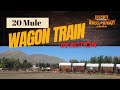 20 Mule Wagon Train