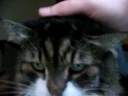 Thumbnail #3