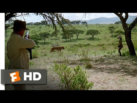 Watch Out Of Africa Online Watch Out Of Africa Online
