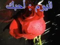 جورج وسوف**--** الله كريم يا هوى