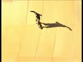 danny way plan b super future promo

tre flip the megaramp

wahhhhhhhhhh?!?!?!