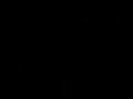 kurwa