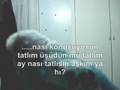 muhabbet kusu ku�u talking budgie