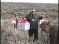 Pygmy Rabbits Released Into The Wild