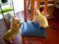 martina y calcetin