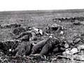 Wilfred Owen - Poet of World War I