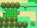Starly Only Run: Setting the Stage