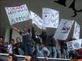 beşiktaş-zürih ÇARŞI pankartlar ve maskotumuz fernerbahçe