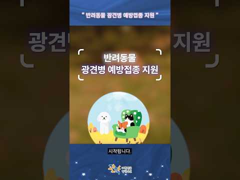 3개월 이상의 강아지 고양이라면? 1만 원에 [광견병 예방접종] 가능! 이미지