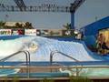 wave house 5