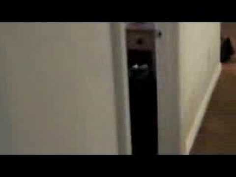 Ces 2008: Move In Day! YouTube Preview Image