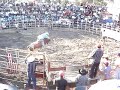 Jaripeo Mexican Rodeo