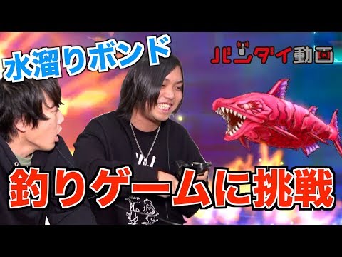 動画