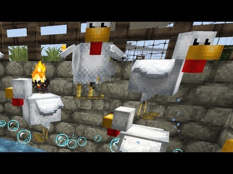 how to make chickens follow you minecraft