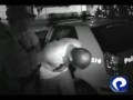 P� de maconha � encontrado em s�tio, em Mogi Mirim