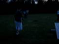 videos de Wheelbarrow 1 Jeff Colenutt 0