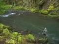Award Winning Spirit River Studios - Oregon Coast Steelhead