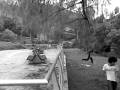 videos de Parkour-pasto-traceur 1