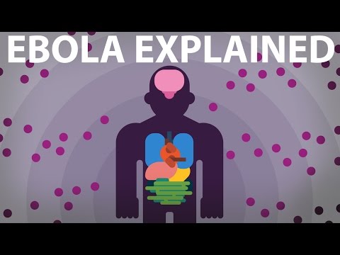 how to know ebola virus