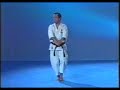 karate shotokan   tekki shodan