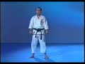 karate shotokan   tekki shodan