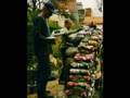 Earthship Demonstration - II