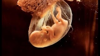 V jihlavské nemocnici zavádějí unikátní metodu pro zlepšení diagnostiky těhotných žen.