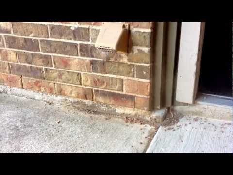 how to vent apartment dryer