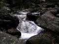 Smoky Mountains Roaring Fork Motor Nature Trail