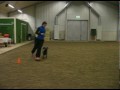 Stimm 100105.avi