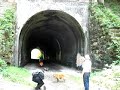 my visit to the moonville tunnel on
memorial day 2008.moonville tunnel is in
vinton county ohio on an abandoned rail line and is said to be haunted.also check out my video on the kings hollow tunnel which is 7 miles east of the moonville tunnel on the same abandoned rail line.