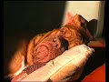 sleeping bordeauxdog