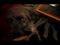 Zeitmahl - Girl Unknown (music video) Interpretive dance Zeitmahl - Girl Unknown (music video) Interpretive dance