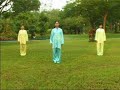 Basic Taiji Quan Routine - 十八式太极拳