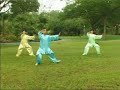 Basic Taiji Quan Routine - 十八式太极拳