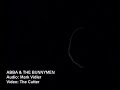 Abba vs Echo and The Bunnymen 
