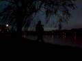 EXERCISES FOR ALL SEASONS: Tai Chi