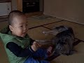 baby and dog