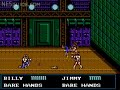 double dragon iii: the sacred stones. captured from an actual nes console and cartridge. for more information on this title: www.nesguide.com