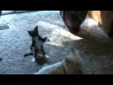 Test Test