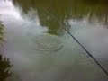 carp fishing- march 24 2008 carp fishing- march 24 2008