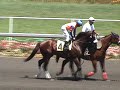 Necessary Evil & Repo win Juvenile stakes