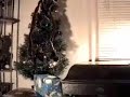 HMV Model 103 gramophone / phonograph playing Christmas record